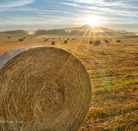 fileadmin/roha/images_galerie/Hintergrund-Download/1280x1024/SON-AU-SAAL-BRUEN-0001-0619-D-M-roha-Sonnenaufgang-Saaldorf-Bruennthal.png