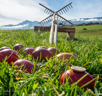 fileadmin/roha/images_galerie/brauchtum/Ostern/BR-OST-EIER-101-1114-D-roha-Brauchtum-Ostern-Ostereier-Scheiben-Rechenstie.png