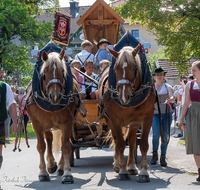 fileadmin/roha/images_galerie/brauchtum/Leonhardiritt/Holzhausen_01/Holzhausen-Ritt-2023/BR-PFRI-HOLZ-2023-1012-2-D-roha-Brauchtum-Leonhardiritt-Holzhausen-Teisendorf.png