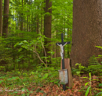 fileadmin/roha/images_galerie/kirche_religion/Teisendorf/KKKM-TEIS-WEG-WALD-0018-D-roha-Wegkreuz-Wald-Teisendorf.png