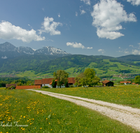 fileadmin/roha/images_galerie/orte_landschaft/Anger/Anger/Anger-Landschaft/LANDS-ANG-0037-D-roha-Landschaft-Anger-Hellmannsberg-Teisenberg-Hochstaufen-Zwiesel.png