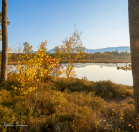 fileadmin/roha/images_galerie/orte_landschaft/Petting/Schoenramer-Moor/PE-SCHOENR-MOOR-0046-01-25-D-roha-Petting-Schoenramer-Moor-Moorsee-Herbst.png