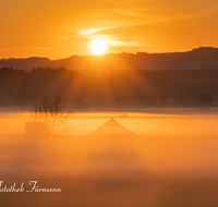 fileadmin/roha/Lieblingsbilder-making/making-of/SO-AU-HAARM-0030-0515-01-D-roha-Sonne-Sonnenaufgang-Haarmoos-Nebel.png