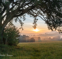 fileadmin/roha/images_galerie/stimmung-Sonne/Sonnenaufgang/SON-AU-STEINH-0028-0657-D-roha-Sonnenaufgang-Anger-Steinhoegl-Sonne-Gaisberg.png