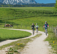 fileadmin/roha/images_galerie/Freizeit-Sport/Mountainbike-Radfahren/SPO-MOUN-ANG-0019-0858-01-D-roha-Sport-Mountainbike-Radfahren-Anger-Sandstrasse.png