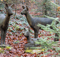 fileadmin/roha/images_galerie/dies_das/Kunst/WEGE-TEIS-VERS-0009-01-D-roha-Weg-Teisendorf-Skulpturenweg-Wald-Herbst-Reh.png