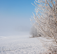 fileadmin/roha/images_galerie/Winter/WINT-HAARM-0002-D-roha-Winter-Haarmoos-Schnee-Rauhreif-Nebel.png