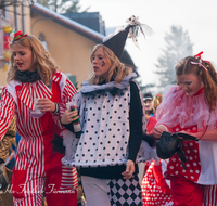 fileadmin/roha/images_galerie/brauchtum/Fasching/BR-FASCHI-MA-ZU-2015-1443-01-D-roha-Brauchtum-Fasching-Zug-Teisendorf-Marktstrasse-Harlekin-SING-SANG.png