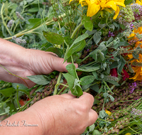 fileadmin/roha/images_galerie/brauchtum/Kraeuterbuschen/BR-KRAEUT-ANG-2018-0016-D-roha-Brauchtum-Kirche-Kraeuter-Buschen-binden-Blumen-Anger.png