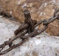 fileadmin/roha/images_galerie/Landwirtschaft/Forst-Holzknecht/HOLZKNE-HAM-DET-0007-0-0-06-D-roha-Holzknecht-Schlitten-Winter-Siegsdorf-Hammer-Winterzug.png