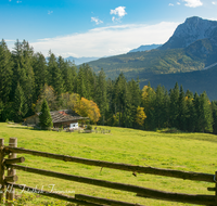 fileadmin/roha/images_galerie/orte_landschaft/Inzell/INZ-BAECK-ALM-0001-D-roha-Inzell-Baeckeralm-Hochstaufen-Herbst-Zaun.png