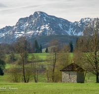 fileadmin/roha/images_galerie/orte_landschaft/Teisendorf/IN-LANDS-Teisendorf/LANDS-TEIS-ALM-0027-D-roha-Landschaft-Teisendorf-Bauernhof-Almeding-Hochstaufen-Zwiesel.png