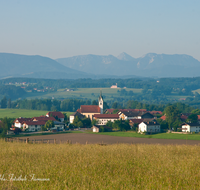 fileadmin/roha/images_galerie/orte_landschaft/Waging/WAG-SEE-TETT-0015-D-roha-Waginger-See-Tachinger-See-Tettenhausen-Baum.png