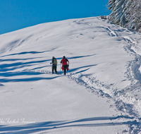 fileadmin/roha/images_galerie/Freizeit-Sport/Wandern/WAN-TEI-STOIS-WI-0003-D-roha-Sport-Wandern-Winter-Schnee-Weg-Teisendorf-Anger-Stoisser-Alm-Teisenberg.png