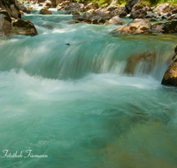 fileadmin/roha/images_galerie/wasser/WAS-WILDB-ZAUB-0014-D-roha-Wasser-Wildbach-Ramsauer-Ache-Zauberwald.png