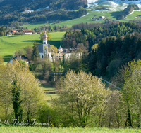 fileadmin/roha/images_galerie/orte_landschaft/Anger/Hoeglwoerth/AN-HOE-PAN-0121-0-04-D-roha-Anger-Hoelgwoerth-Panorama-Hochstaufen-Zwiesel-Fruehling.png