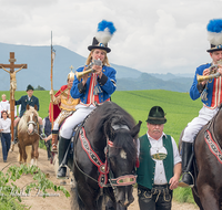 fileadmin/roha/images_galerie/brauchtum/Leonhardiritt/Holzhausen_01/BR-PFRI-HOLZ-2015-0067-1037-01-D-roha--Brauchtum-Pferdeumritt-Holzhausen-Teisendorf-Leonhardiritt-Postillon.png