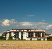 fileadmin/roha/images_galerie/orte_landschaft/Freilassing/FREIL-0010-04-D-roha-Freilassing-Getreidefeld.png