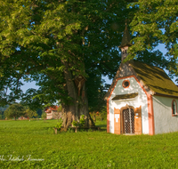 fileadmin/roha/images_galerie/kirche_religion/Teisendorf/KKKM-TEIS-KLEIN-RUECK-0002-D-roha-Kapelle-Kleinrueckstetten-Linde-Baum-Wegkreuz.png