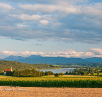 fileadmin/roha/images_galerie/orte_landschaft/Waging/LANDS-TACH-0012-D-roha-Landschaft-St-Coloman-Waging-Tachinger-See-Hochstaufen-Zwiesel-Teisenberg-Maisfeld-Weizen.png