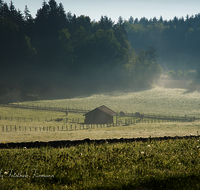 fileadmin/roha/images_galerie/stimmung-Sonne/STIM-TEI-UF-0001-D-roha-Stimmung-Sonne-Nebel-Ufering-Stadel-Kuh.png