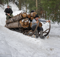 fileadmin/roha/images_galerie/Landwirtschaft/Forst-Holzknecht/HOLZKNE-HAM-2019-1415-06-D-roha-Holzknecht-Schlitten-Winter-Siegsdorf-Hammer-Winterzug.png