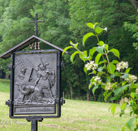 fileadmin/roha/images_galerie/kirche_religion/Ainring-Kreuzweg/KKKM-AINR-KR-07-0001-D-roha-Kreuzweg-Ainring-Ulrichshoegl-Wald.png