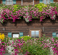 fileadmin/roha/images_galerie/Baum-natur-garten/Haus-Blumenschmuck-Deko/LANDA-BLUMENSCHM-OBERR-0004-D-roha-Landart-Bauernhaus-Balkon-Blumenschmuck-Oberreit.png