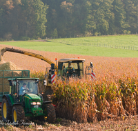 fileadmin/roha/images_galerie/Landwirtschaft/LANDW-MASCH-MAIS-0030-D-roha-Landwirtschaft-Mais-haeckseln-Ernte.png