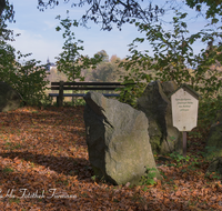 fileadmin/roha/images_galerie/orte_landschaft/Teisendorf/Geo-Park-Lehrpfad/TEI-GEOL-GAR-0013-D-roha-Teisendorf-Geologischer-Garten-Findlinge-Steine-Laub-Buche-Eiche-Bank.png