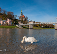 fileadmin/roha/images_galerie/orte_landschaft/Salzburg/Muelln/SA-ALTST-MUELLN-0015-D-roha-Salzburg-Altstadt-Muelln-Salzach-Schwan-Bruecke.png