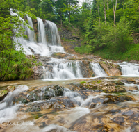 fileadmin/roha/images_galerie/wasser/SCHNEILZL-WEISSB-FALL-0008-D-roha-Schneizlreuth-Weissbachfall-Wasser-Wasserfall.png