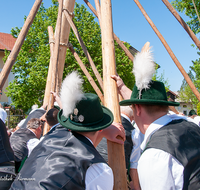 fileadmin/roha/images_galerie/brauchtum/Maibaum/Weildorf/BR-MAIB-WEIL-0031-D-roha-Brauchtum-Maibaum-Weildorf.png