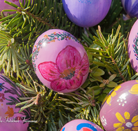 fileadmin/roha/images_galerie/brauchtum/Ostern/BR-OST-BRUN-EI-0019-D-roha-Brauchtum-Osterbrunnen-Bad-Reichenhall-Florianiplatz-Osterei-Straussenei-Frohe-Ostern.png