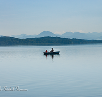 fileadmin/roha/images_galerie/orte_landschaft/Waging/FISCH-WAG-SEE-0003-D-roha-Aktiv-Freizeit-Wasser-Fischen-Waginger-See.png