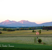 fileadmin/roha/images_galerie/orte_landschaft/Haarmoos/HAARM-0039-D-roha-Abtsdorf-Laufen-Haarmoos-Morgenstimmung-Stadel-Fruehling-Hochstaufen-Zwiesel.png