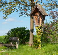 fileadmin/roha/images_galerie/kirche_religion/Ainring/KKKM-AINR-STRASS-0015-D-roha-Wegkreuz-Strass-Ainring-Baum-Bank.png