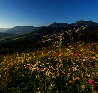 fileadmin/roha/Interessantes-in-Kurzform/ab-5-2023/LANDS-ANG-TEISB-0002-01-1-D-roha-Landschaft-Anger-Teisenberg-Hochstaufen-Zwiesel.png