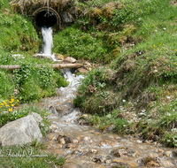 fileadmin/roha/images_galerie/wasser/WAS-BACH-NAT-SCHAP-0001-D-roha-Wasser-Bach-Nationalpark-Berchtesgaden-Schapachalm.png