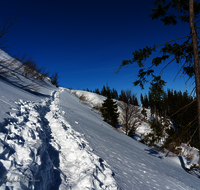 fileadmin/roha/images_galerie/wege/WEGE-WINT-TEISB-0003-D-roha-Weg-Winter-Teisenberg.png