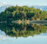 fileadmin/roha/images_galerie/orte_landschaft/Abtsdorf-Abtsdorfer-See/ABTS-SEE-0011-01-D-roha-Abtsdorfer-See-Leobendorf-Abtsdorf-Saaldorf-Laufen-Wasser-Untersberg.png