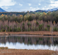 fileadmin/roha/images_galerie/orte_landschaft/Ainring/AINR-MOOR-0006-9-D-roha-Ainring-Moor-See-Ulrichshoegl-Herbst.png