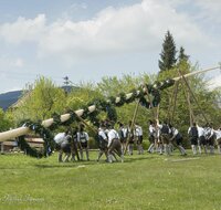 fileadmin/roha/images_galerie/brauchtum/Maibaum/erste-Seite/BR-MAIB-ANG-2017-1355-01-D-roha-Brauchtum-Maibaum-Anger.jpg