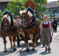 fileadmin/roha/images_galerie/brauchtum/Leonhardiritt/Holzhausen_01/Holzhausen-Ritt-2023/BR-PFRI-HOLZ-2023-1036-01-D-roha-Brauchtum-Leonhardiritt-Holzhausen-Teisendorf.png