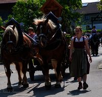 fileadmin/roha/images_galerie/brauchtum/Leonhardiritt/Holzhausen_01/Holzhausen-Ritt-2023/BR-PFRI-HOLZ-2023-1036-01-D-roha-Brauchtum-Leonhardiritt-Holzhausen-Teisendorf.png