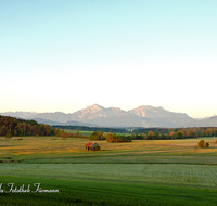 fileadmin/roha/images_galerie/orte_landschaft/Haarmoos/HAARM-0042-D-roha-Abtsdorf-Laufen-Haarmoos-Morgenstimmung-Stadel-Fruehling-Hochstaufen-Zwiesel.png