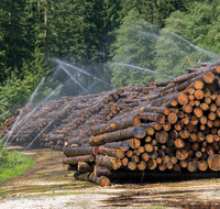 fileadmin/roha/images_galerie/Landwirtschaft/Forst-Holzknecht/HOLZKNE-FOR-0002-D-roha-Holzknecht-Teisenberg-Langholz-waessern-Kohlhaeusl.png