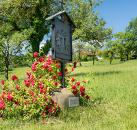 fileadmin/roha/images_galerie/kirche_religion/Ainring-Kreuzweg/KKKM-AINR-KR-10-0049-D-roha-Kreuzweg-Ainring-Ulrichshoegl-Rose.png