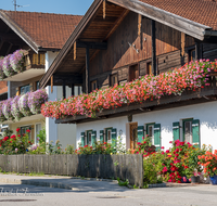 fileadmin/roha/images_galerie/Baum-natur-garten/Haus-Blumenschmuck-Deko/LANDA-BLUMENSCHM-OBERTD-0011-D-roha-Landart-Blumenschmuck-Oberteisendorf-Geranien-Holzblock.png