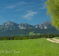 fileadmin/roha/images_galerie/wege/LANDS-TEIS-ARN-0002-D-roha-Landschaft-Teisendorf-Arnolding-Weg-Hochstaufen.png